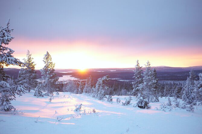 Private: Snowshoeing Safari in spectacular National Park - Detailed Breakdown of the Itinerary