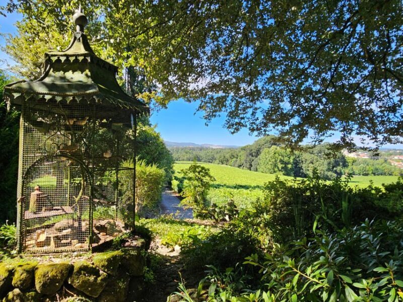 Private Sommelier Tour (Verde e Douro): 3 Wineries and Lunch - Exploring Portugal’s Verde and Douro with a Private Sommelier