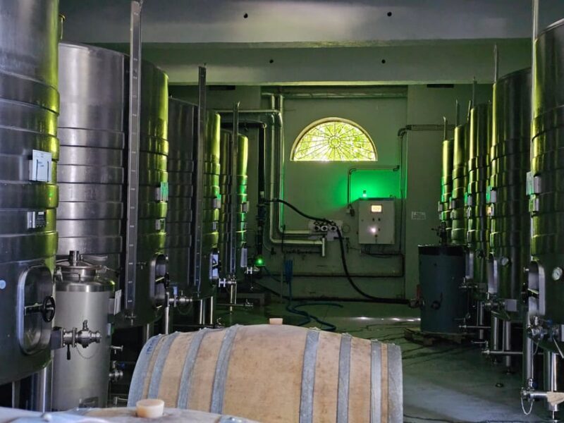 Private Sommelier Tour (Verde e Douro): 3 Wineries and Lunch - The Sum Up