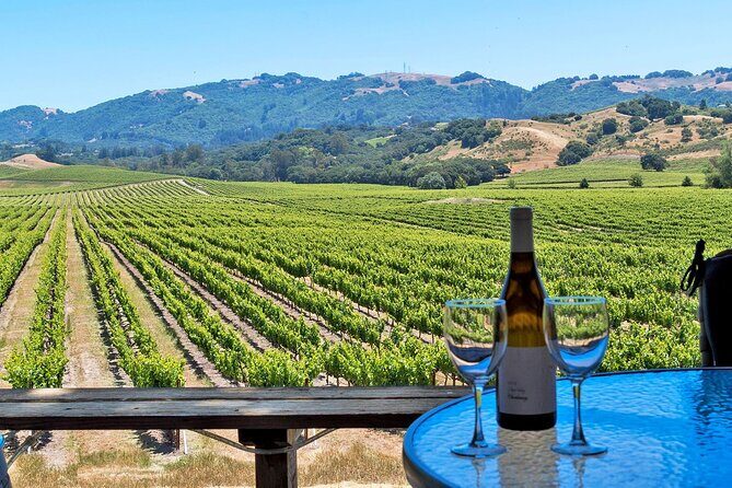Private Sonoma Valley Wine Country Charter Transportation - Exploring the Sonoma Valley in Style