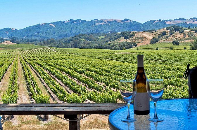 Private Sonoma Valley Wine Country Charter Transportation - Final Thoughts