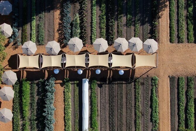 Private Sonoma Wine Tour up to 6 Guests - Detailed Breakdown of the Itinerary