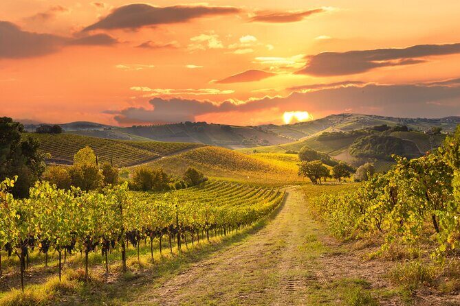 Private Sonoma Winery Tour - Practical Details and What to Expect