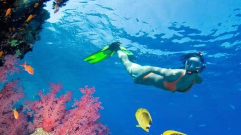 Private: Sosua Bay Snorkeling Tour with Hotel Pickup - A Practical Guide to the Sosua Bay Snorkeling Tour with Hotel Pickup