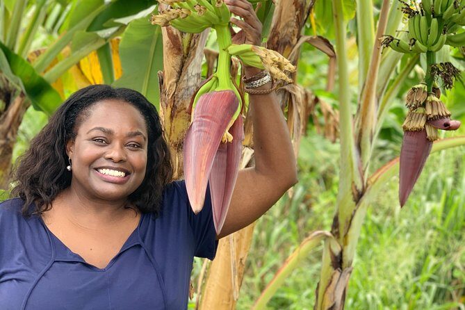 Private Soufriere Experience Tour - Final Thoughts