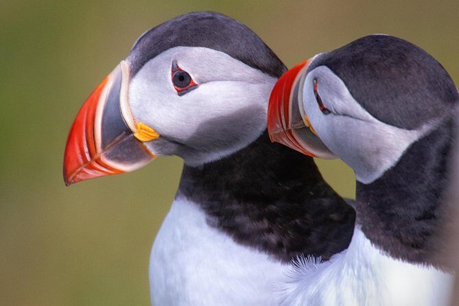 Private South Coast Tour with a Professional Photographer/Guide - In-Depth Review: What Makes This Tour Stand Out
