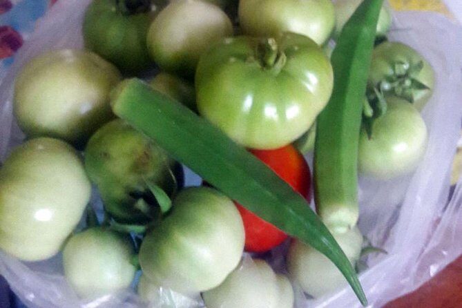 Private South Indian Cooking Class and Market Visit in Chennai - An In-Depth Look at the Private Chennai Cooking Experience