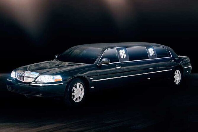 Private South Tenerife Airport Transfer to South Hotels - Who This Transfer Suits Best