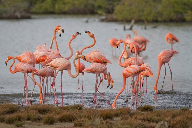 Private Southern Island Tour Including Family Photoshoot - Who Will Love This Tour?