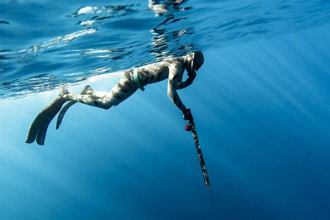 Private Spearfishing Trip From Athens - A Closer Look at the Private Spearfishing Trip from Athens