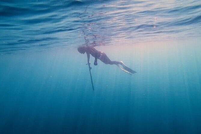 Private Spearfishing Trip From Athens - FAQs