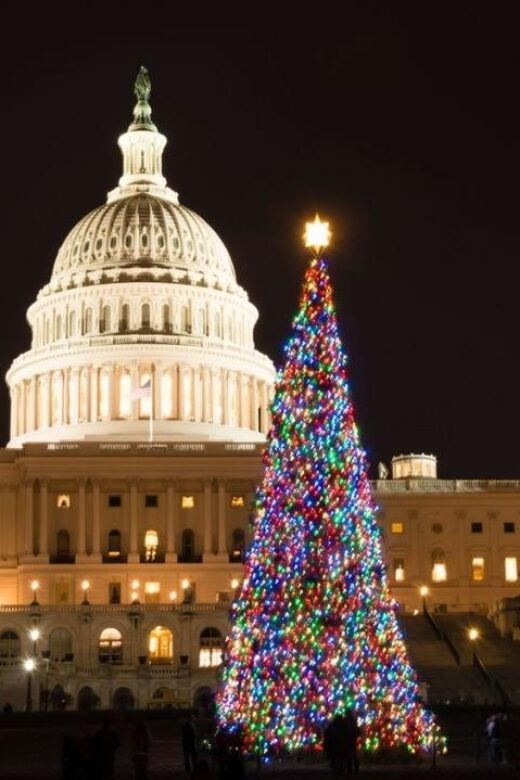 Private Special Christmas tour in Washington - Discover the Magic of Washington’s Holiday Spirit