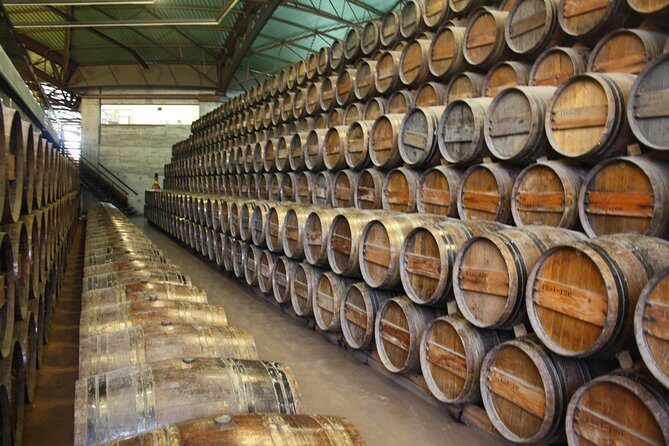 Private Special Tour Around Lisbon and Wine Tasting - Exploring the Itinerary in Detail