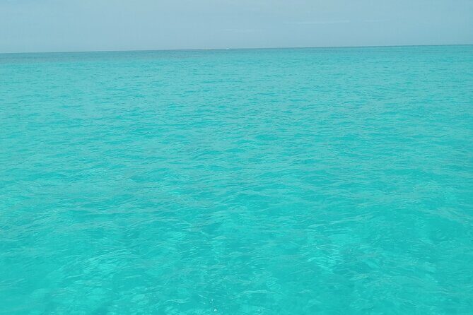 Private speed boat beach and bar hopping visiting Rose island - An Authentic Bahamas Adventure by Speedboat