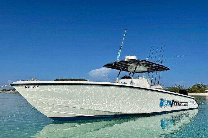 Private Speed Boat for Snorkeling or Fishing in Nassau - 34ft - Exploring Nassau with a Private Speed Boat: Snorkeling, Fishing, and Island Hopping