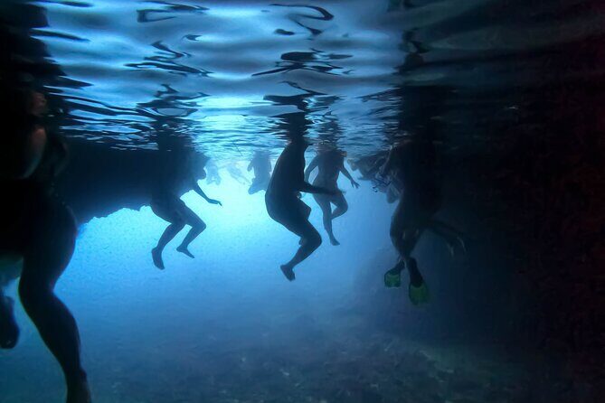 Private Speed Boat Tour from Dubrovnik to Elafiti Islands - FAQs