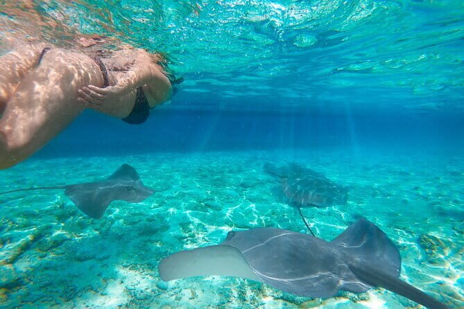 Private Speedboat Day Tour : Explore Komodo's Best - Final Thoughts