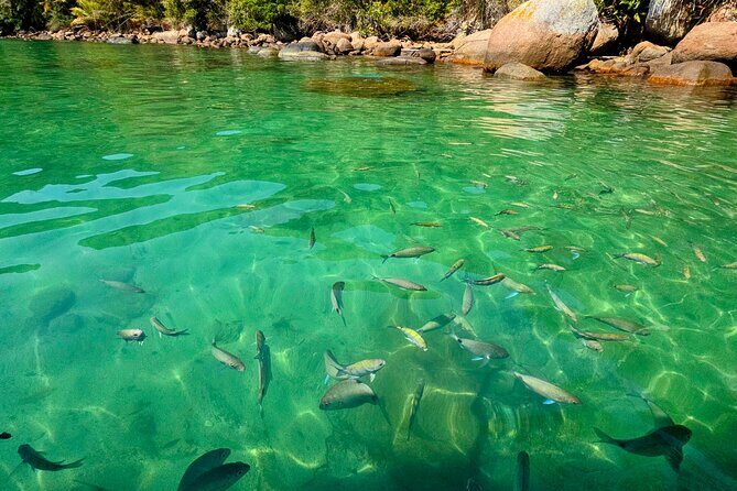 Private Speedboat Tour with Blue and Green Lagoons in Ilha Grande - Frequently Asked Questions
