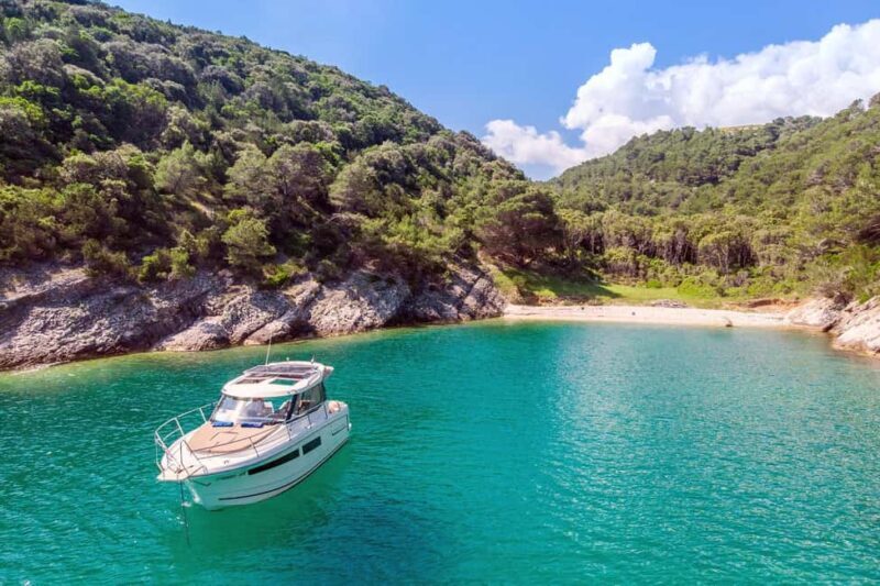 Private speedboat tours Sea Symphony - Key Points