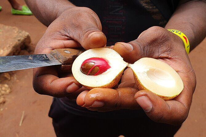 Private Spice Tour in Zanzibar with Pick Up - FAQ