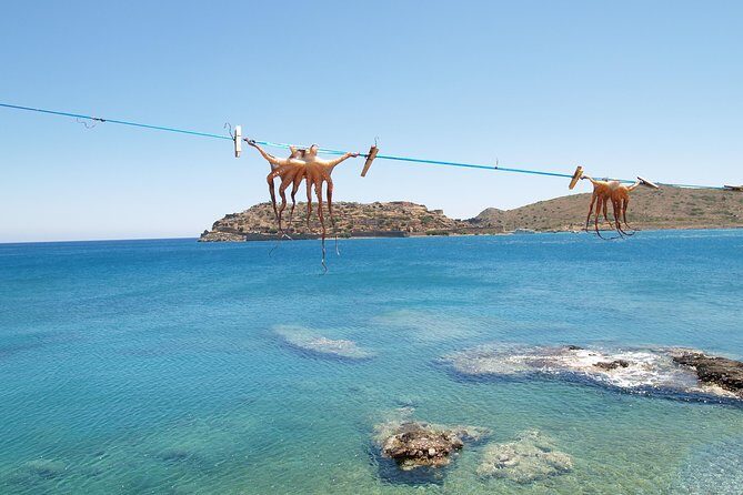PRIVATE Spinalonga & Agios Nikolaos & Olive Oil Factory CRETE - Final Thoughts