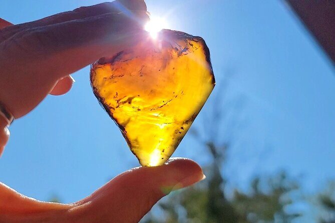 Private Spiritual and Scientific Vortex Tour - A Detailed Look at the Private Vortex Tour Experience