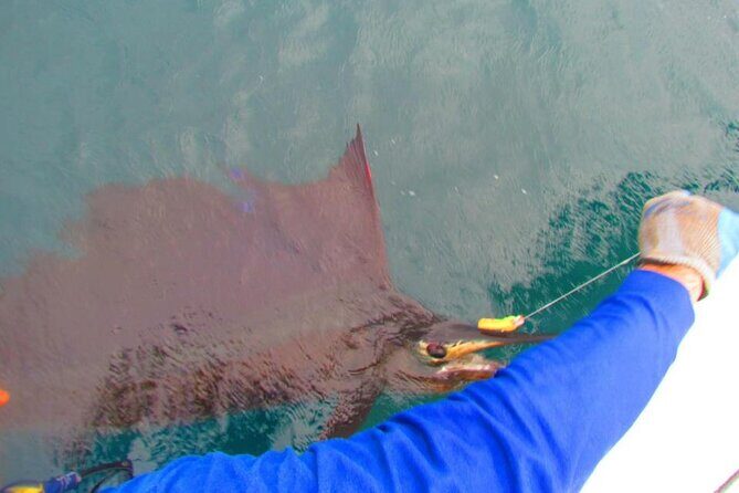 Private Sport Fishing 27ft Proline | South Pearl Islands - Final Thoughts