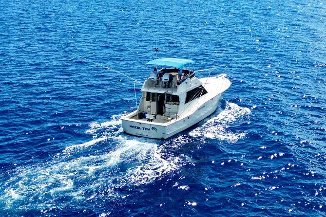 Private Sport Fishing Charters - Authentic Experiences and Travel Tips