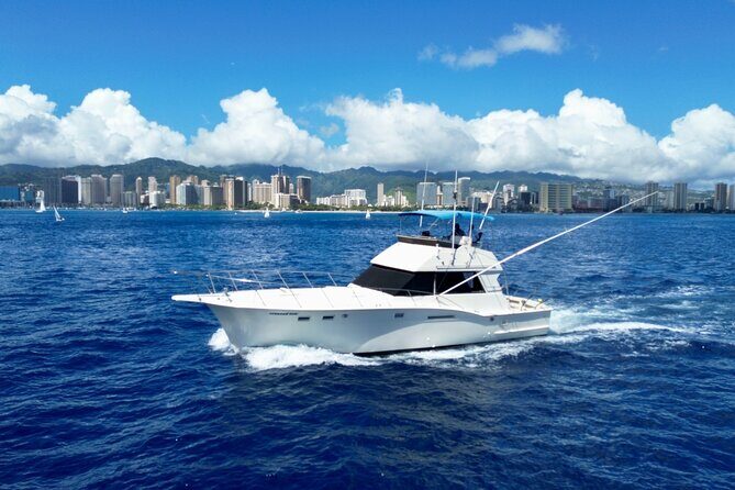 Private Sport Fishing Charters - Who Should Consider This Tour?