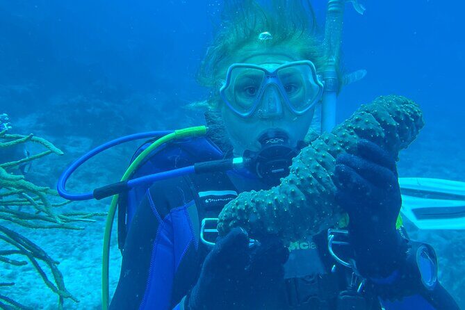 Private St. Maarten Cruise - Hakuna Matata Catamaran - The Experience in Detail