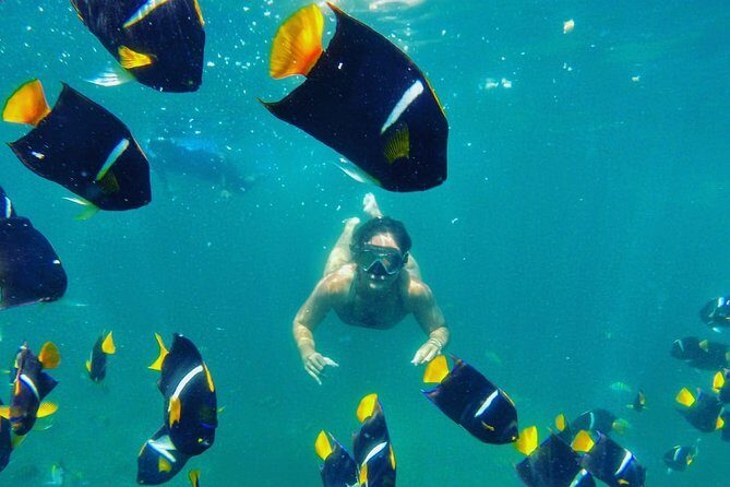 Private Stand Up Paddle Experience in Los Arcos Jalisco - Who Will Love This Tour?