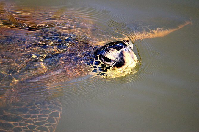 Private Stand up Paddle Lesson and Tour (for 1 or more paddlers) - Authentic, Responsible, and Enjoyable