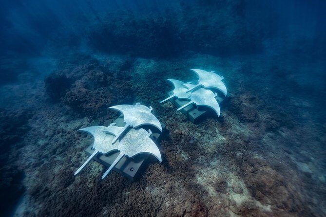 Private Standard Charter Experience in Whitsundays - FAQs