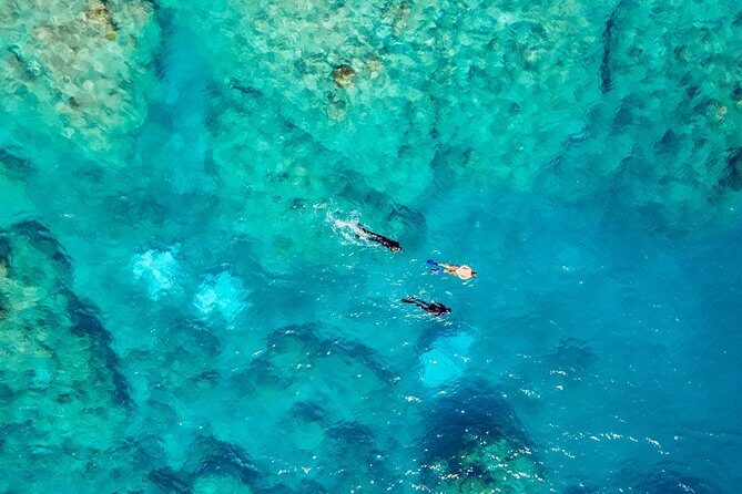 Private Standard Charter Experience in Whitsundays - Final Thoughts