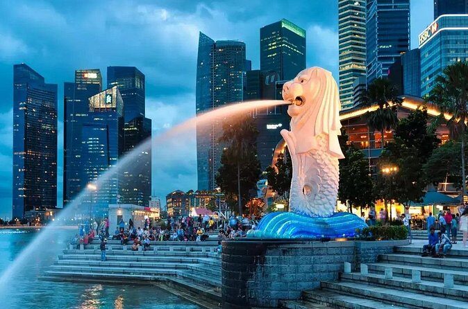 Private Starry Night Singapore Tour and Roundtrip Transfers - Final Thoughts