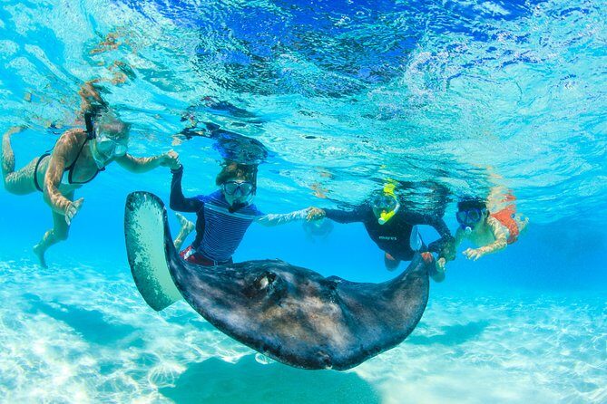 Private Stingray City and Snorkeling Half Day Charter for 6 Guest - The Details: What to Expect from This Private Cayman Adventure