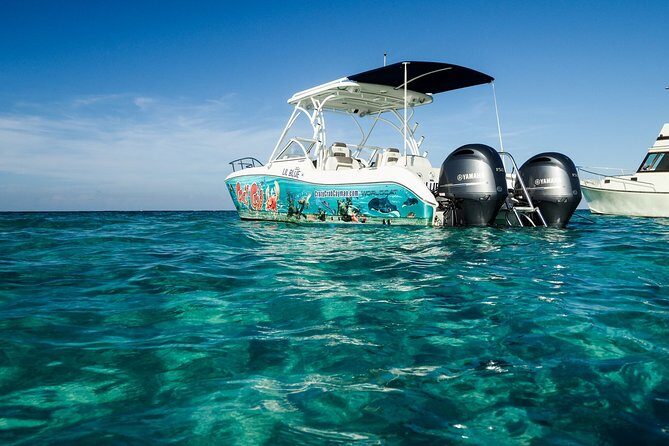 Private Stingray City Snorkeling and BioBay Charter for 10 Guests - Who Would Love This Tour?