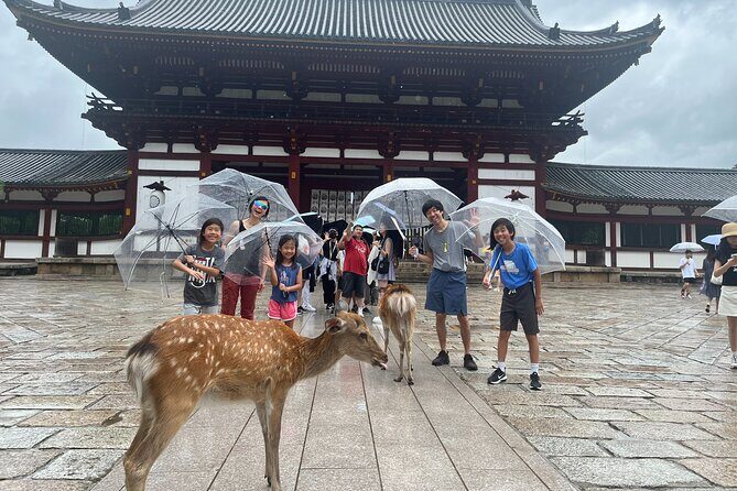 Private Story in Nara about Deer, Buddha, and You - Exploring Nara: A Personal Journey Through Deer, Buddha, and Serenity