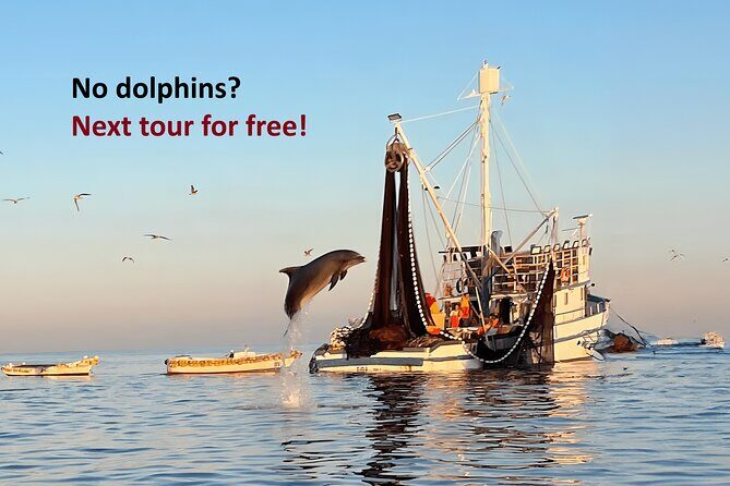 Private Sunrise Dolphins & Fishermen at Work boat tour in Rovinj - Exploring Rovinj’s Sunrise Dolphin Experience: What to Expect