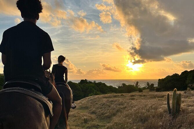 Private Sunrise Horseback Beach Ride with Sandy Hoofs St. Lucia - An In-Depth Look at the Private Sunrise Horseback Ride in St. Lucia