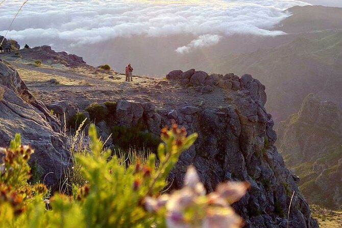 Private Sunrise Pico do Areeiro Half Day with easy levada walk - A Detailed Look at Your Madeira Half-Day Adventure