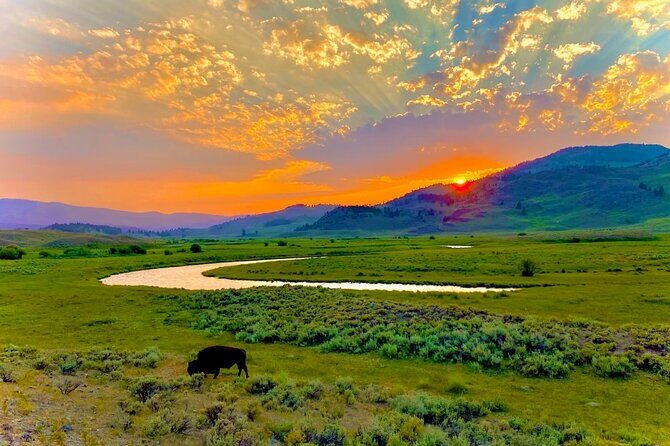 Private Sunrise Wildlife Adventure Into Yellowstone Lamar Valley - Practical Considerations