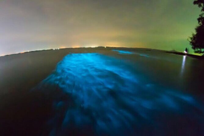 Private Sunset and Bioluminescence Tours in Cocoa Beach - Private Sunset and Bioluminescence Tours in Cocoa Beach