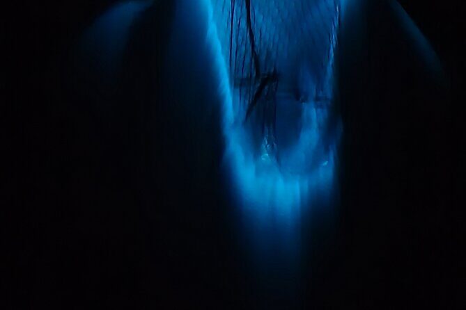 Private Sunset and Bioluminescence Tours in Cocoa Beach - The Beauty of Cocoa Beach Bioluminescence Tours: A Detailed Look