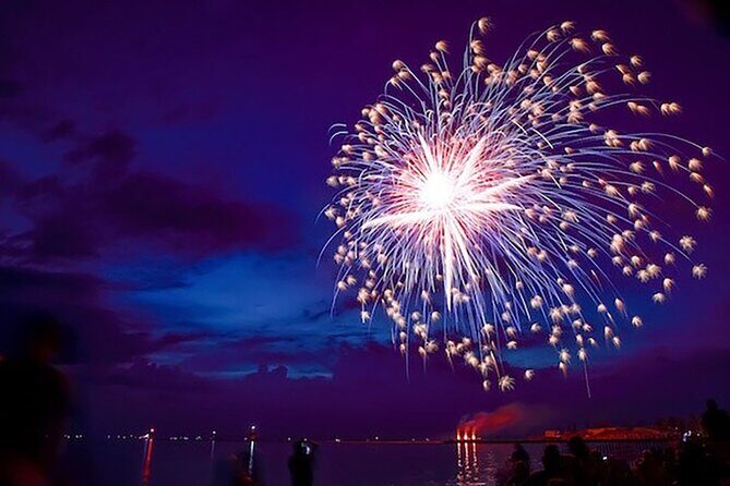 Private Sunset and Fireworks Dolphin Tour (6 people max) - Key Points