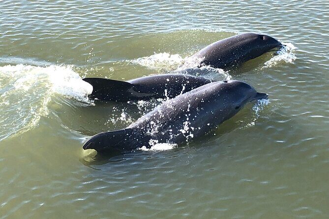 Private Sunset BYOB Boat Ride on Southern Charm - FAQ