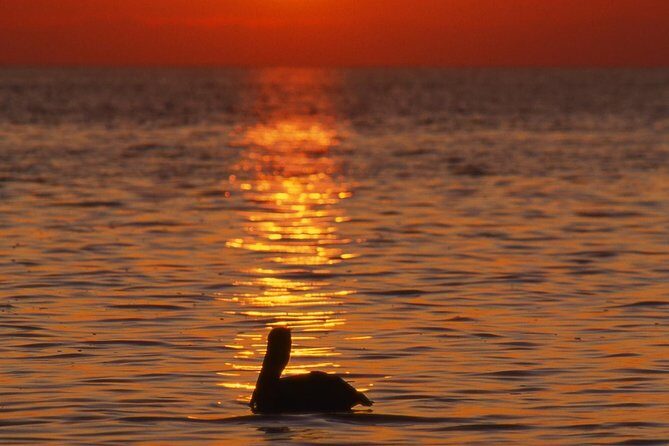 Private Sunset Cruise South Padre Island - Final Thoughts