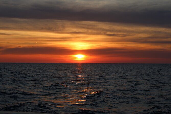 Private Sunset Dolphin Excursion with Dinner and Animation - What Makes This Tour Unique?