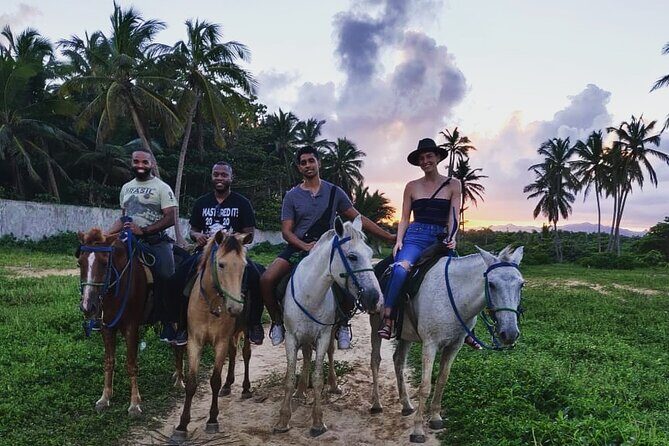 Private Sunset Horseback Riding in punta cana beach - Key Points