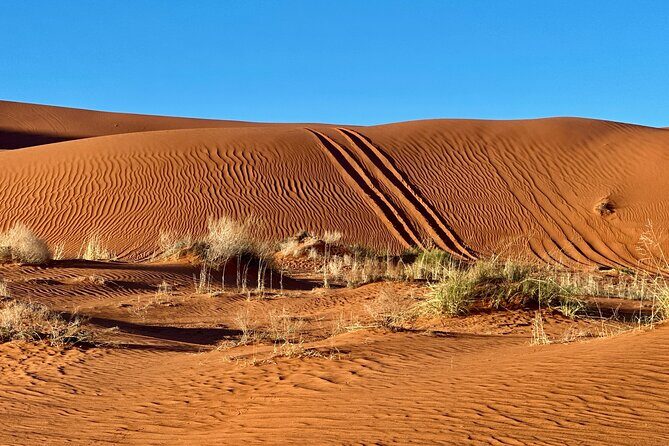 Private Sunset Jeep Ride to Sand Mountain - A Detailed Look at the Private Sunset Jeep Ride to Sand Mountain
